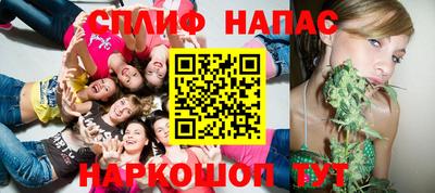 сатива Краснознаменск