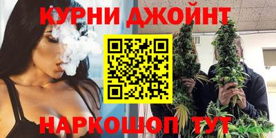 сатива Краснознаменск