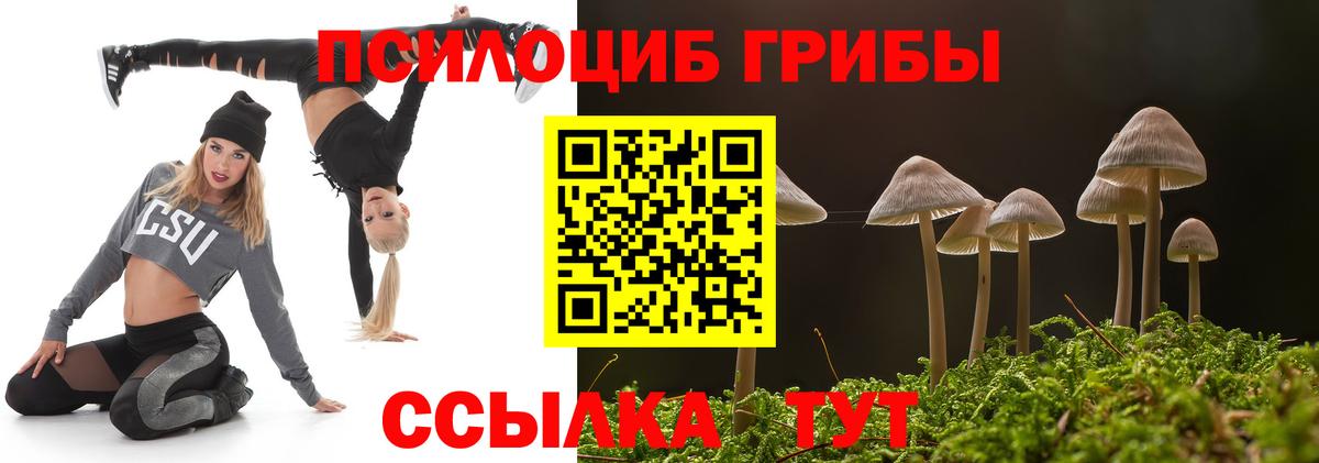 Псилоцибиновые грибы MAGIC MUSHROOMS Котовск